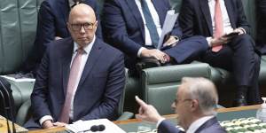 Opposition Leader Peter Dutton and Prime Minister Anthony Albanese during Question Time on Wednesday.