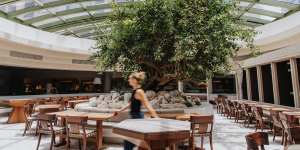 A 50-year-old bougainvillea stands at the centre of the room.