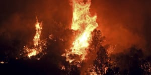 Emergency declared as wildfire erupts near Yosemite