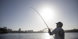 Jeremy Sims is a recreational fisher who eats the fish he catches in Sydney Harbour.