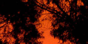 The Black Saturday bushfires followed a period of drought and extreme heat.