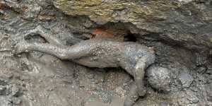 Discovery of bronzes rewrites Italy’s Etruscan-Roman history