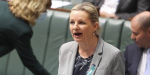 Environment Minister Sussan Ley. 