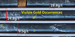 Strickland Metals has identified visible gold from diamond drilling at its Palomino prospect near Wiluna.