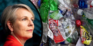 Environment Minister Tanya Plibersek wants a global treaty to cut plastic pollution. 