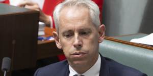 Immigration Minister Andrew Giles is looking into the Community Protection Board’s advice.