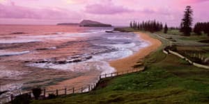The Tin Sheds,Norfolk Island review:Pampering under the pines 