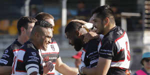 West Harbour players celebrate a try against Newcastle in the Shute Shield.