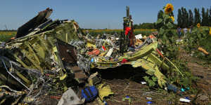 Debris from Malaysian Airlines flight MH17 on the outskirts of Rassypnoe village in 2014. 