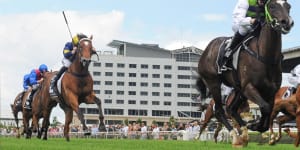 Mission accomplished as Cleary's Girls Are Ready for Magic Millions