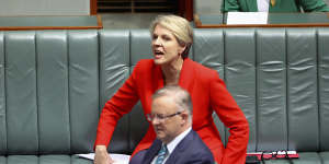 Shadow minister for women Tanya Plibersek reacts to Prime Minister Scott Morrison.
