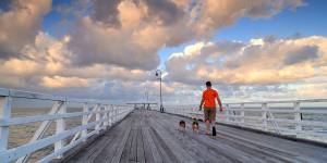 A man walks his dogs on the Shorncliffe Pier,part of the Moreton Bay Regional Council area and one of Greater Brisbane’s most tightly held suburbs.