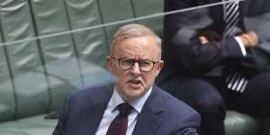 Opposition Leader Anthony Albanese has stared down the attacks this week from Prime Minister Scott Morrison.