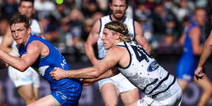 Jack Ziebell provided a strong body for North Melbourne.