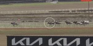 The horse that never hit the ground:mysterious case of the disappearing thoroughbred