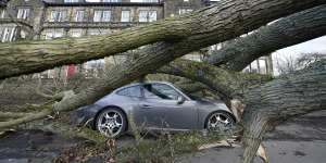 A Porsche 911 car is damaged by a fallen tree in Harrogate,North Yorkshire,England as a result of Storm Otto.