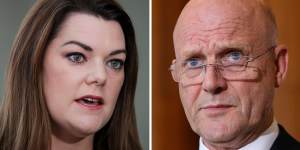 Court rejects Leyonhjelm’s appeal over Hanson-Young defamation