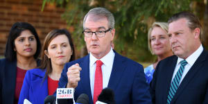 NSW Liberals will start running advertisements targeting Labor leader Michael Daley.