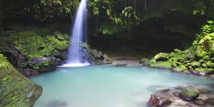 DOMINICA:Emerald pool deep in the rainforest.