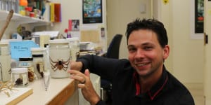 A Queensland spider collection's fascinating tale of survival