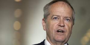 NDIS Minister Bill Shorten will represent Australia at a Ukraine peace summit. 