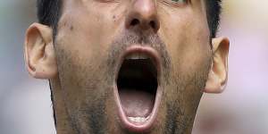 Djokovic lets out a scream during his men’s singles semi-final at Wimbledon in 2019.