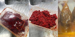 Authorities have identified the source of a suspected poisoning incident that resulted in Logan residents,including a child,being hospitalised after they ingested rat bait.