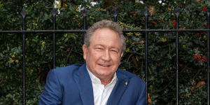Andrew “Twiggy” Forrest,chairman of Fortescue,spends almost all his time diversifying the iron ore miner into clean energy.