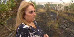 'Watch it all burn':Bilpin residents lose homes,businesses in fire