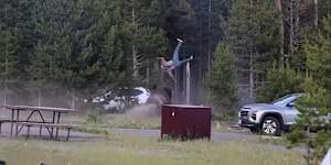 The bull charged at a man and his grandson in Yellowstone National Park.