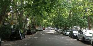Cooling coverage:a leafy street in Alexandria. 