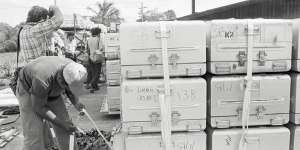 Jim Jones’s coffin is stacked among those of his hundreds of followers,awaiting transport out of Jonestown.