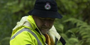 Police and volunteers search for Charlise Mutten in the Blue Mountains.