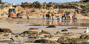 Experts are expected to spend about three years studying the fossil.