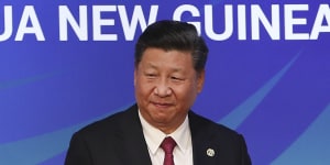 Xi Jinping at the APEC CEO Summit in Port Moresby.