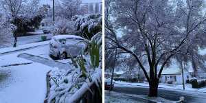 Snow blanketed Orange in NSW’s Central West overnight.