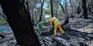 Scarred but still standing,Grampians community counts cost of two fires in a year