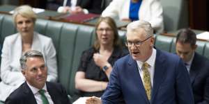 Immigration Minister Tony Burke during question time in November.