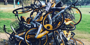 Bike-share bikes dumped in Waverley Oval last year.
