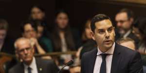 Independent state member for Sydney,Alex Greenwich,will introduce a voluntary assisted dying bill when Parliament next sits.