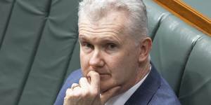 Workplace Relations Minister Tony Burke. 