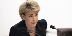 Coalition industrial relations spokeswoman Michaelia Cash has accused bureaucrats of “Googling” research for the Secure Jobs,Better Pay bill.