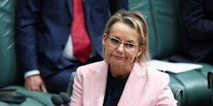 Opposition leader Sussan Ley has hammered the government all week over its home care package delay.