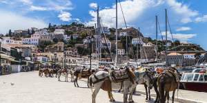 The island of Hydra still has no cars – only donkeys and mules.