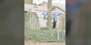 truck gif