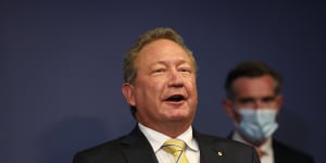 The green wars:Nickel stoush between BHP and Andrew Forrest heats up