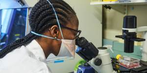 A technician inspects samples during COVID-19 antibody neutralisation testing at the African Health Research Institute (AHRI) in Durban,South Africa.