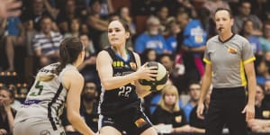 Michael Haynes ready to put out WNBL firestorm