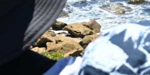 People watch the start of the Sydney to Hobart Yacht race from South Head in Sydney Harbour.