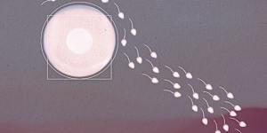 Australia's declining fertility rate.